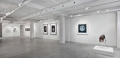 20100925 Alex Fischer 131 O'Born Contemporary 04 Spider From Venus documentation.jpg